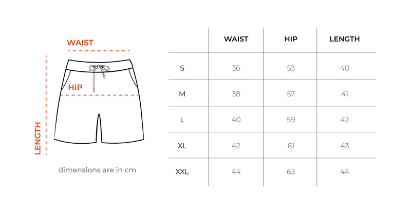 Summer Void Swim Shorts