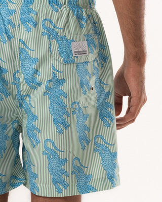 Alligator Green Striped Swim Shorts Swim Shorts IN YOUR SHOE XXL