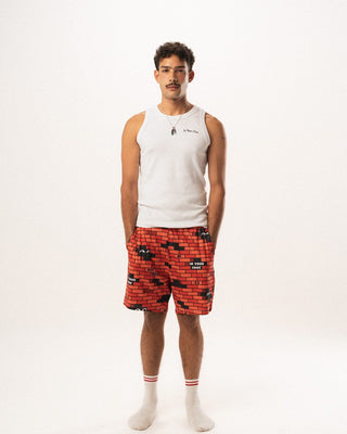 Brick Pshorts Pshorts IN YOUR SHOE M