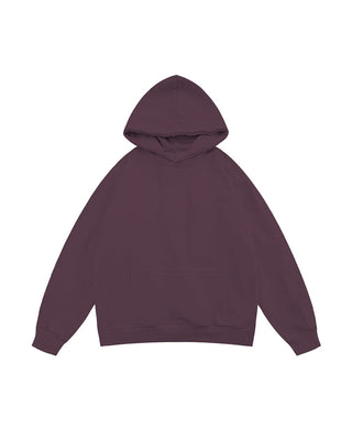 Brown Basic Hoodie Plain Hoodies IN YOUR SHOE
