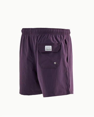 Solid Purple Swim Shorts Swim Shorts IN YOUR SHOE