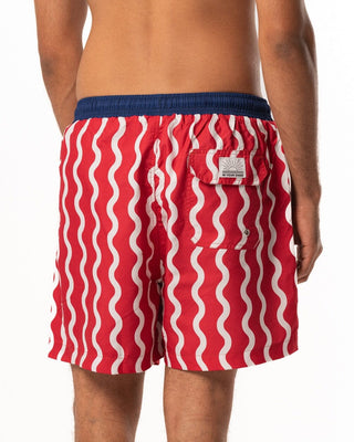 Twirls Swim Shorts Swim Shorts IN YOUR SHOE L