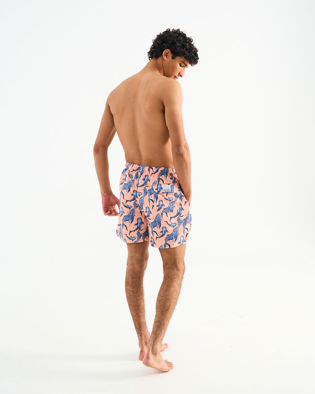 Whales Swim Shorts Swim Shorts IN YOUR SHOE