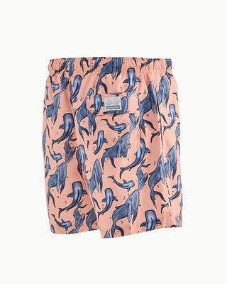 Whales Swim Shorts Swim Shorts IN YOUR SHOE