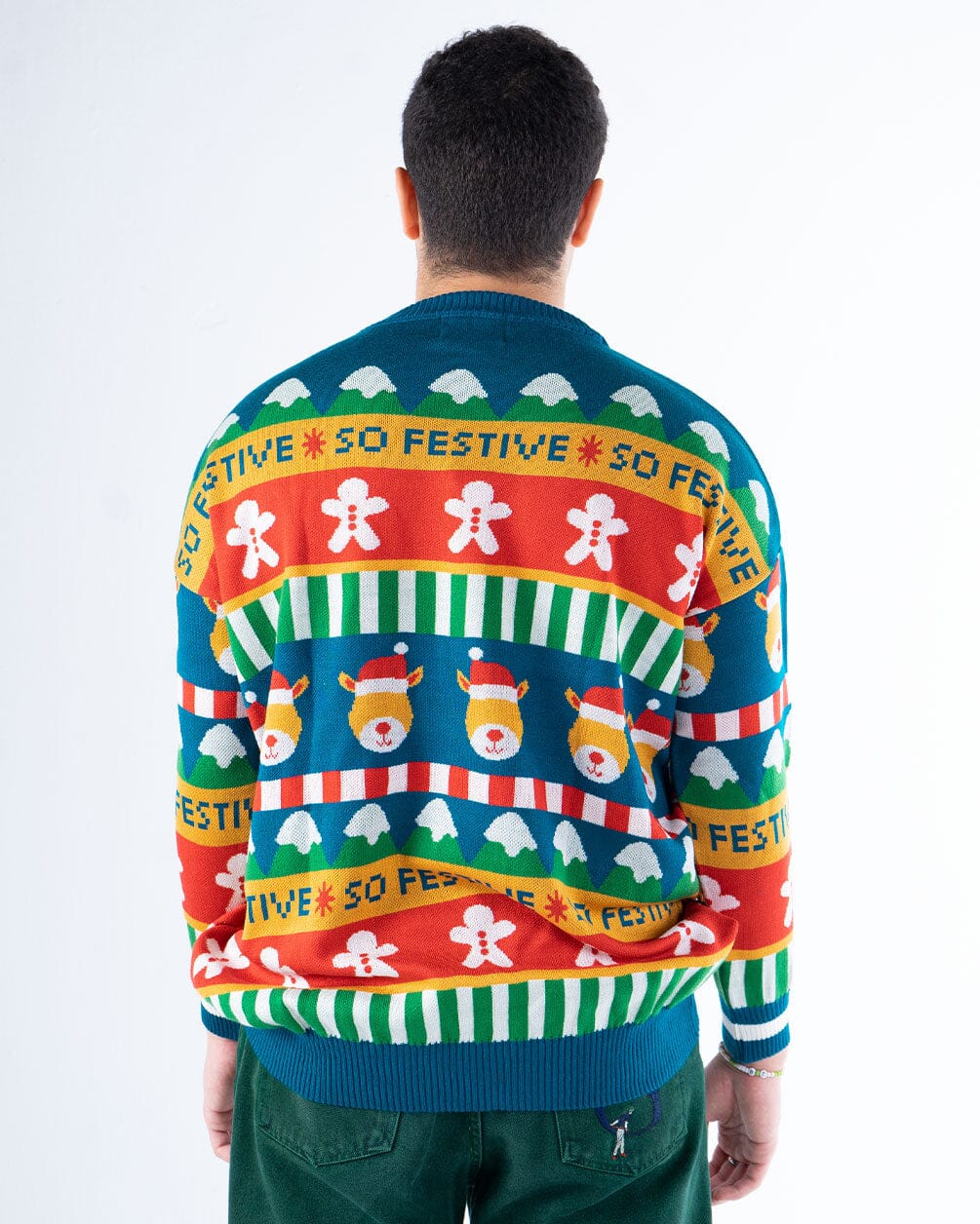 Festive Bear Knitwear Knitwear IN YOUR SHOE