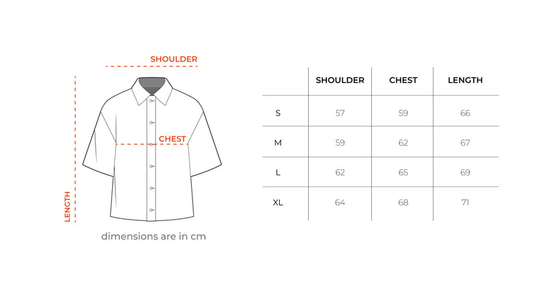 Frogs Boxy Shirt size chart