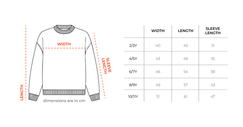 Seesaw Oversized Kids Crewneck
