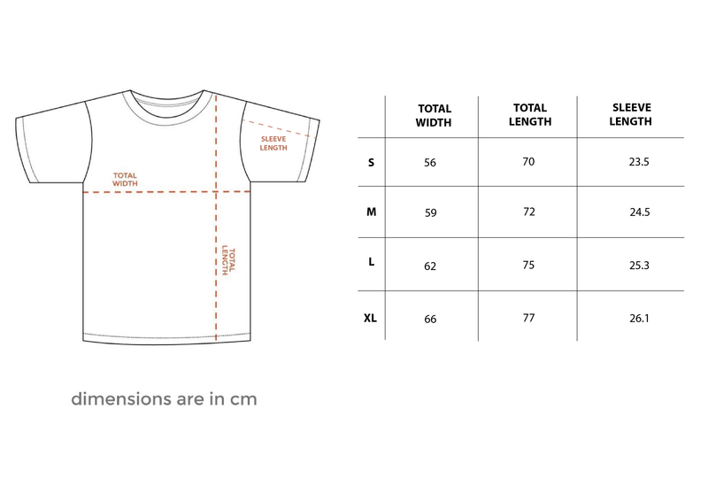 Paranoid Regular Tee size chart