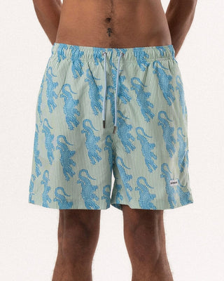 Alligator Green Striped Swim Shorts Swim Shorts IN YOUR SHOE 