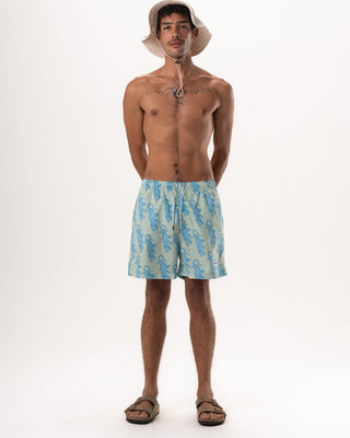 Alligator Green Striped Swim Shorts Swim Shorts IN YOUR SHOE S 