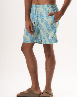 Alligator Green Striped Swim Shorts Swim Shorts IN YOUR SHOE 