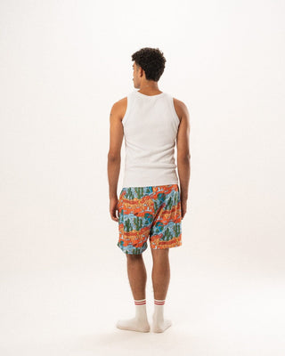 Cairo Desert Pshorts Pshorts IN YOUR SHOE XL 