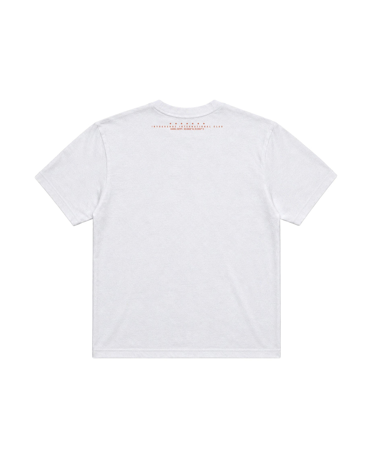 El Giza Boxy Tee Printed Boxy Tee IN YOUR SHOE 