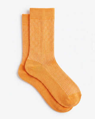 Multi Stripes Neck Socks Neck Socks IN YOUR SHOE 