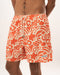 Orange Creamsicle Swim Shorts