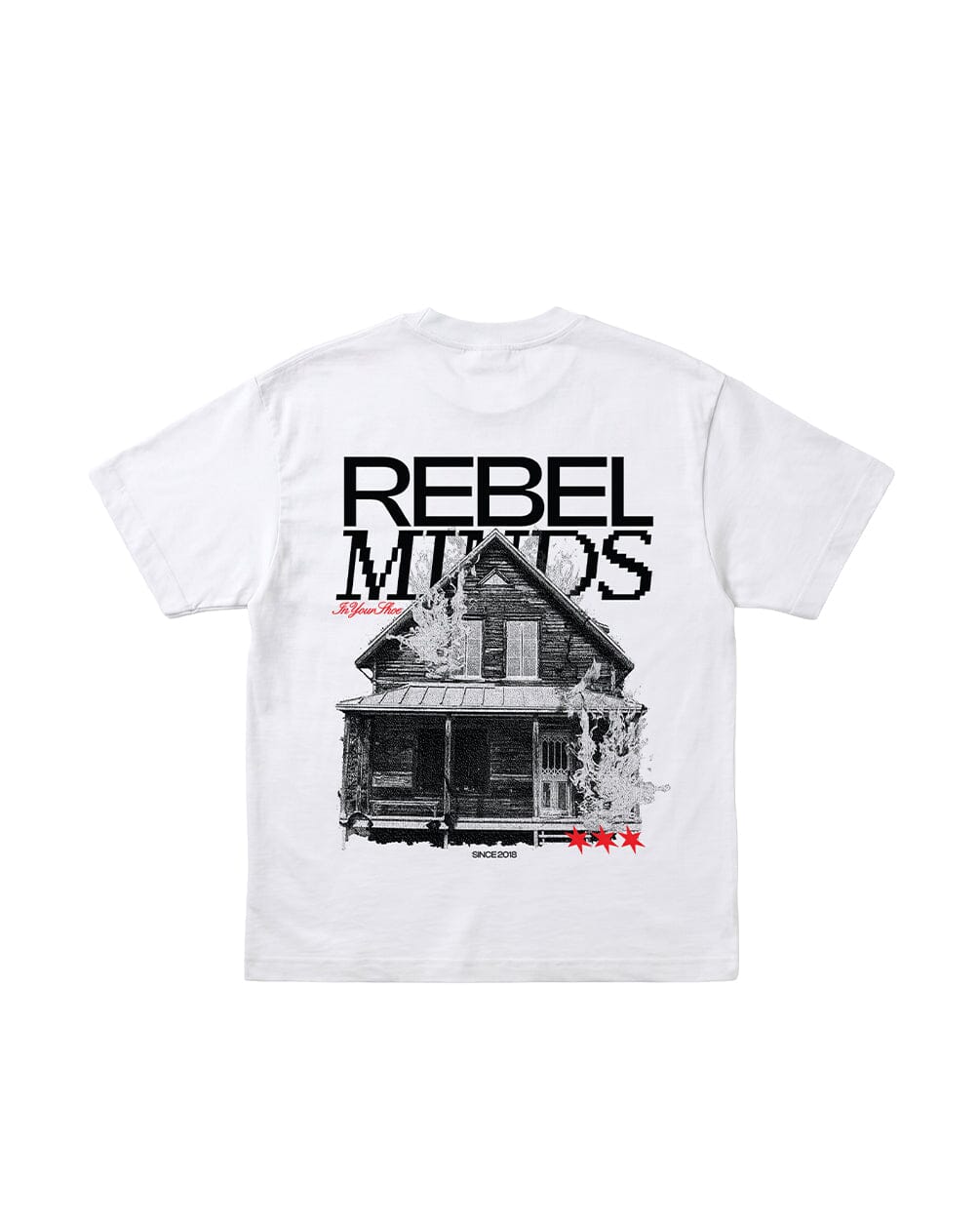 Rebel Minds Oversized Tee Printed Oversized Tees IN YOUR SHOE 