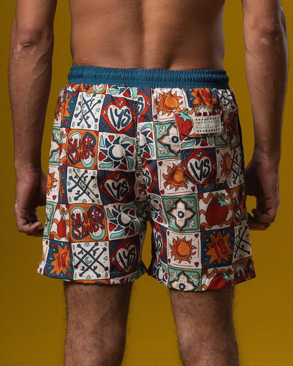 Silver Sands Summer Swim Shorts Swim Shorts IYS X ZED M 