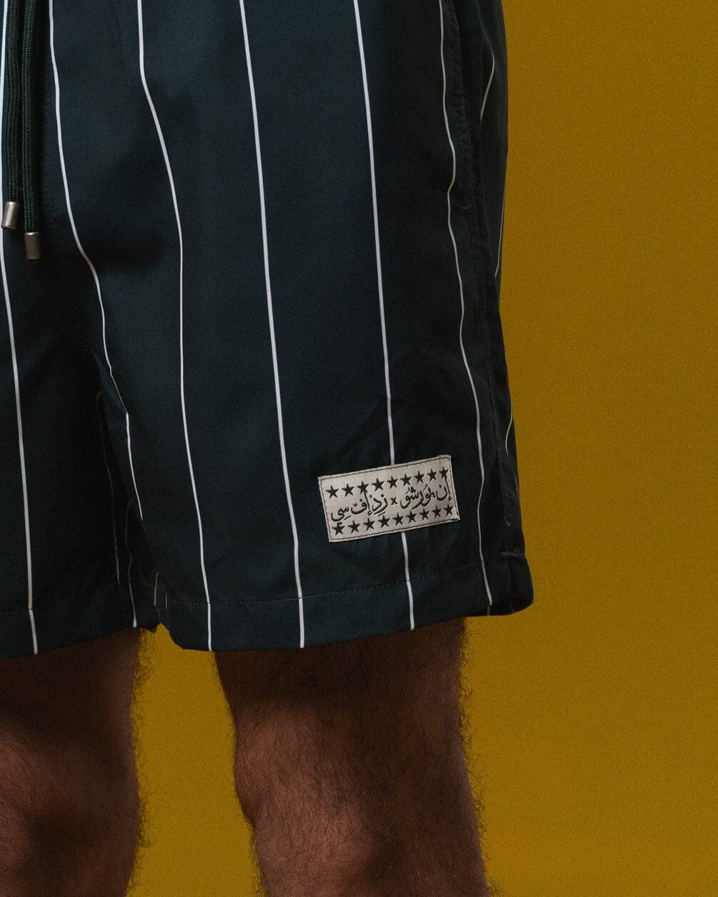ZED Green Striped Swim Shorts Swim Shorts IYS X ZED XL 