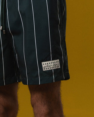 ZED Green Striped Swim Shorts Swim Shorts IYS X ZED XL 