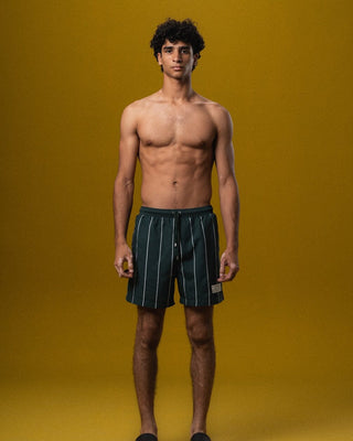 ZED Green Striped Swim Shorts Swim Shorts IYS X ZED L 
